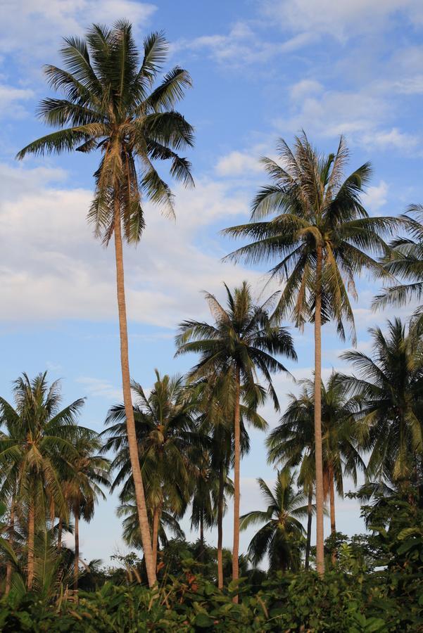 Samui Le Reve Hotell Na Mueang Exteriör bild